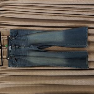 American Eagle Outfitters Women's Blue Flare Jeans